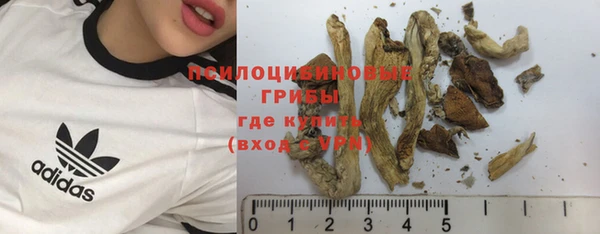 прущие крисы Медвежьегорск