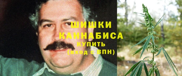 прущие крисы Медвежьегорск