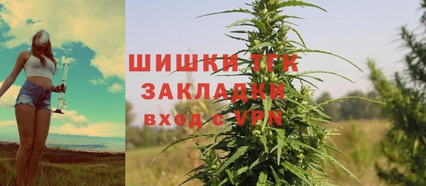 прущие крисы Медвежьегорск